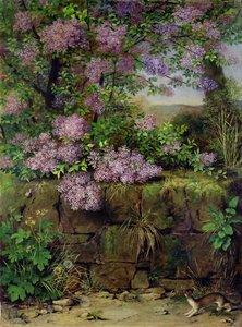 壁の前に咲くライラック 作： Emilie von der Embde