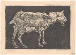 ヤギ 作： Emilius Wilhelmus Dehé (signed by artist)