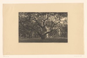古い木 作： Emilius Wilhelmus Dehé (signed by artist)
