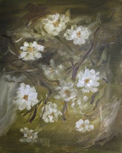 柔らかな白い花 作： Emily Tingey