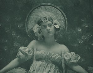 蝉、1899年。
