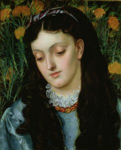 美しい壁の花