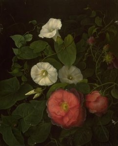 ロッサーオグネクスト 作： Emma Thomsen