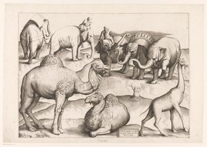 8匹の動物 アンティーク壁画の動物たち（シリーズタイトル） Speculum Romanae Magnificentiae (シリーズ名) 作： Enea Vico (attributed to)