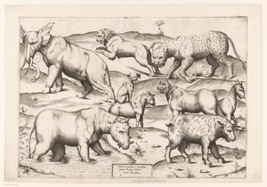 九匹の動物 アンティーク壁画の動物たち（シリーズタイトル） Speculum Romanae Magnificentiae (シリーズ名) 作： Enea Vico (attributed to)