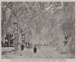 吹雪の後のカナダの冬景色、ハミルトン、ウェストアベニュー 作： English Photographer