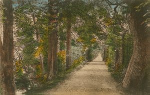 アディソンズウォーク、オックスフォード。 1913年に送られたはがき。 作： English Photographer