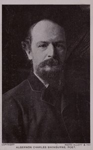 アルジャーノンチャールズスウィンバーン（1837-1909）、イギリスの詩人、劇作家 作： English Photographer
