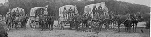 ケープタウンのペスト病院を去る救急車ワゴン、キングのイラスト、1901年5月25日 作： English Photographer