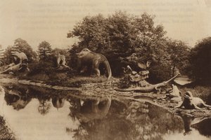 アンティディルヴィアン動物 作： English Photographer