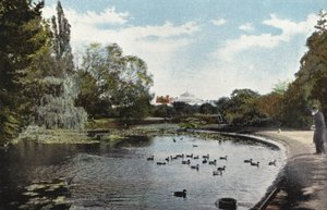 植物園 作： English Photographer