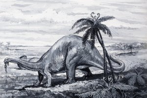 ブロントサウルス