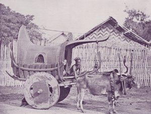 ビルマの馬車とペア 作： English Photographer