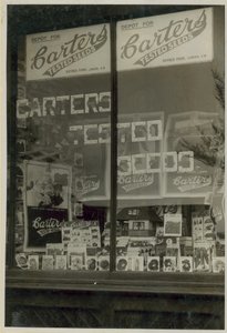 カーターテスト済み種子表示 作： English Photographer