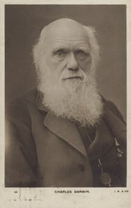 チャールズダーウィン（1809-1882）、イギリスの自然主義者 作： English Photographer