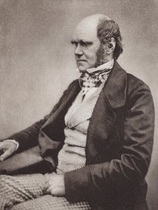 チャールズ・ダーウィン、肖像画、1854年頃、Maull  Foxの写真より（モノクロ写真） 作： English Photographer