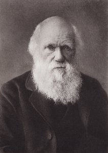 チャールズ・ダーウィン、ポートレート、1880年頃（モノクロ写真 作： English Photographer