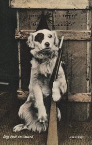 銃を持つ犬（カラー写真）