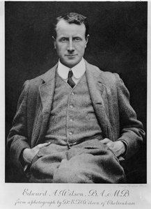 エドワード・A・ウィルソン、1910年頃（モノクロ写真