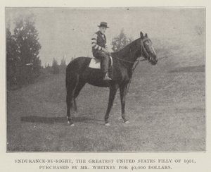 ホイットニー氏が40,000ドルで購入した、1901年の米国最大のフィリーである右の持久力 作： English Photographer