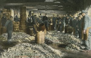 ローストフトでの釣り（カラー写真） 作： English Photographer