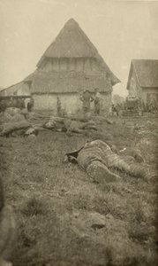 第一次世界大戦、西部戦線、1914年から18年に関連付けられた134枚の写真のアルバムから 作： English Photographer