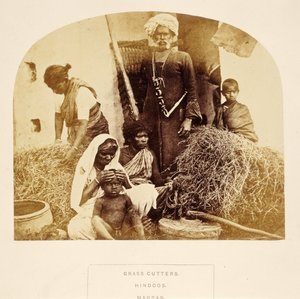 J.フォーブスワトソン著 『インドの人々』のグラスカッター、ヒンドゥー、マドラス、1868年出版（アルブメン版） 作： English Photographer