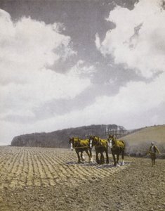 春のハローワーク（モノクロ写真 作： English Photographer