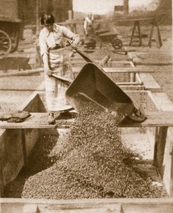 海外の英雄のために自宅でヘルプメイト、1914-19 bw写真） 作： English Photographer