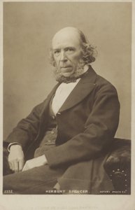 ハーバート・スペンサー（1820-1903）、イギリスの哲学者、政治理論家、生物学者、社会学者 作： English Photographer