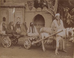 馬車、カイロ、1893 作： English Photographer