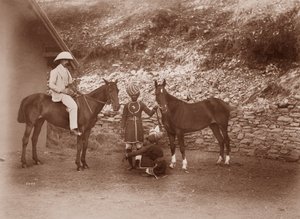 シムラ、クイーンマブ、グラディスでの馬 作： English Photographer