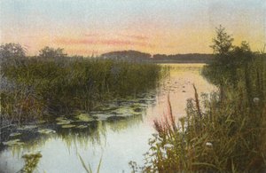 Hoveton Broad 作： English Photographer