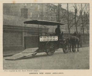 ロンドンの新しい馬の救急車 作： English Photographer