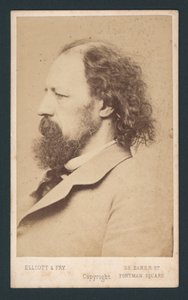 テニーソン卿、名刺 作： English Photographer
