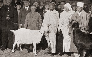 マハトマガンジーは1931年に弟子のマドレーヌスレイドと2頭の山羊とともにイギリスのロンドンに到着しました。 作： English Photographer