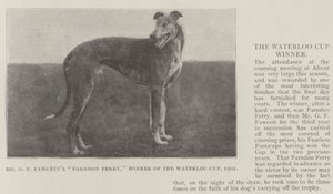 GFフォーセットファーンドンフェリー氏、ウォータールーカップ優勝、1902年 作： English Photographer