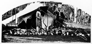 私のインドの狩猟トロフィー、1870年代頃 作： English Photographer