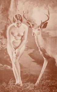 ヌーディスト・アート森のイディル（モノクロ写真） 作： English Photographer