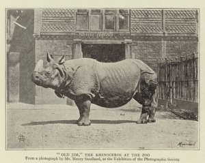 動物園のサイ、オールドジム 作： English Photographer