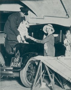犬を駐車する 作： English Photographer