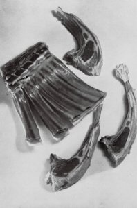 ラムカツレツの準備（モノクロ写真） 作： English Photographer