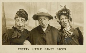 かわいいパンジーの顔（モノクロ写真） 作： English Photographer