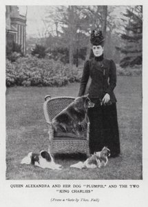アレクサンドラ女王と愛犬プランピー、そして2匹のキングチャールズスパニエル（モノクロ写真 作： English Photographer