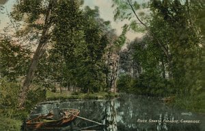 グランタ川、パラダイス、ケンブリッジ。 1913年に送られたはがき。 作： English Photographer