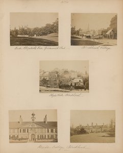 ブラックヒースの一連の画像 作： English Photographer
