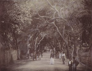 Skinners Road、コロンボ（カラー写真） 作： English Photographer