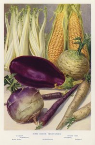 珍しい野菜もある（写真） 作： English Photographer