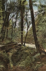シャンクリンチャインの石橋 作： English Photographer