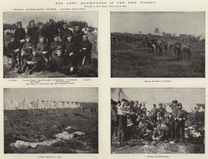 新しい森での軍の作戦 作： English Photographer